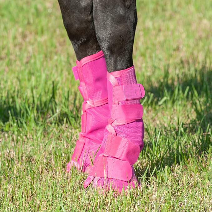 Adjustable Horse Leg Boots Breathable Neoprene Equine Guards Mosquito Repellent Wraps Reduced Fatigue Equestrian Gear - Rose